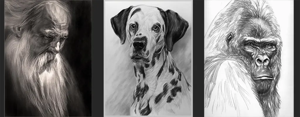 Alex Filipov drawings of a old man, dalmatian and a monkey from left to right